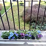 La Parenthese Imperiale Gare A 300 M Balneo Sauna * 梅斯