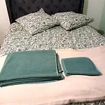 La Parenthese Imperiale Gare A 300 M Balneo Sauna * 梅斯