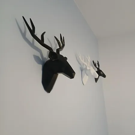 La Parenthese Imperiale Gare A 300 M Balneo Sauna Mety