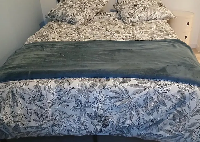 La Parenthese Imperiale Gare A 300 M Balneo Sauna Apartmán *