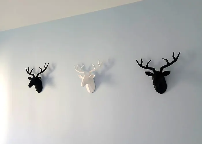 La Parenthèse Impériale Gare à 300 M Balnéo Sauna Apartamento